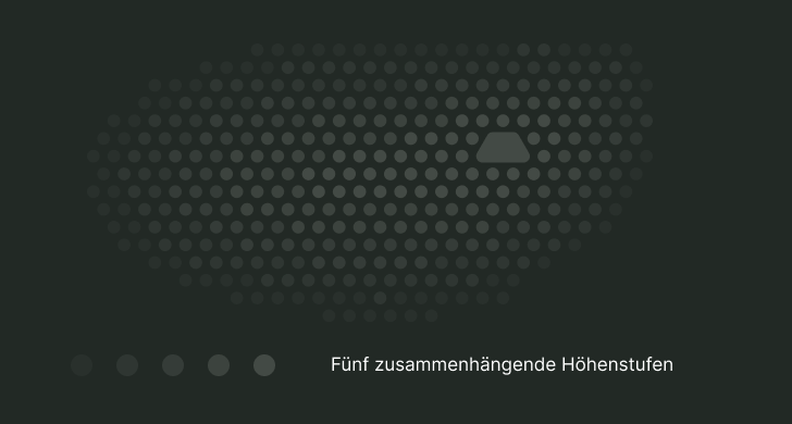 Richtig: Punktraster auf Pine mit fünf zusammenhängenden Höhenstufen, frei von Text.